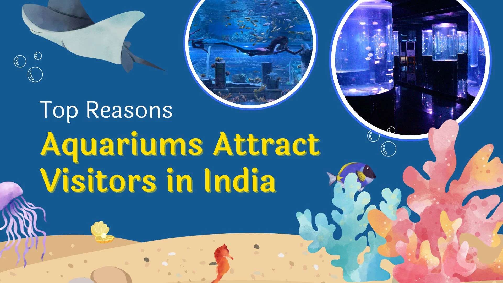 Top Reasons Aquariums Attract Visitors in India